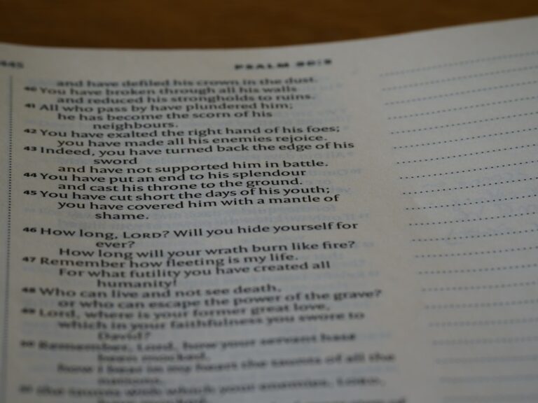 Motyw miłości w literaturze: od tragicznych romansów do szczęśliwych zakończeń